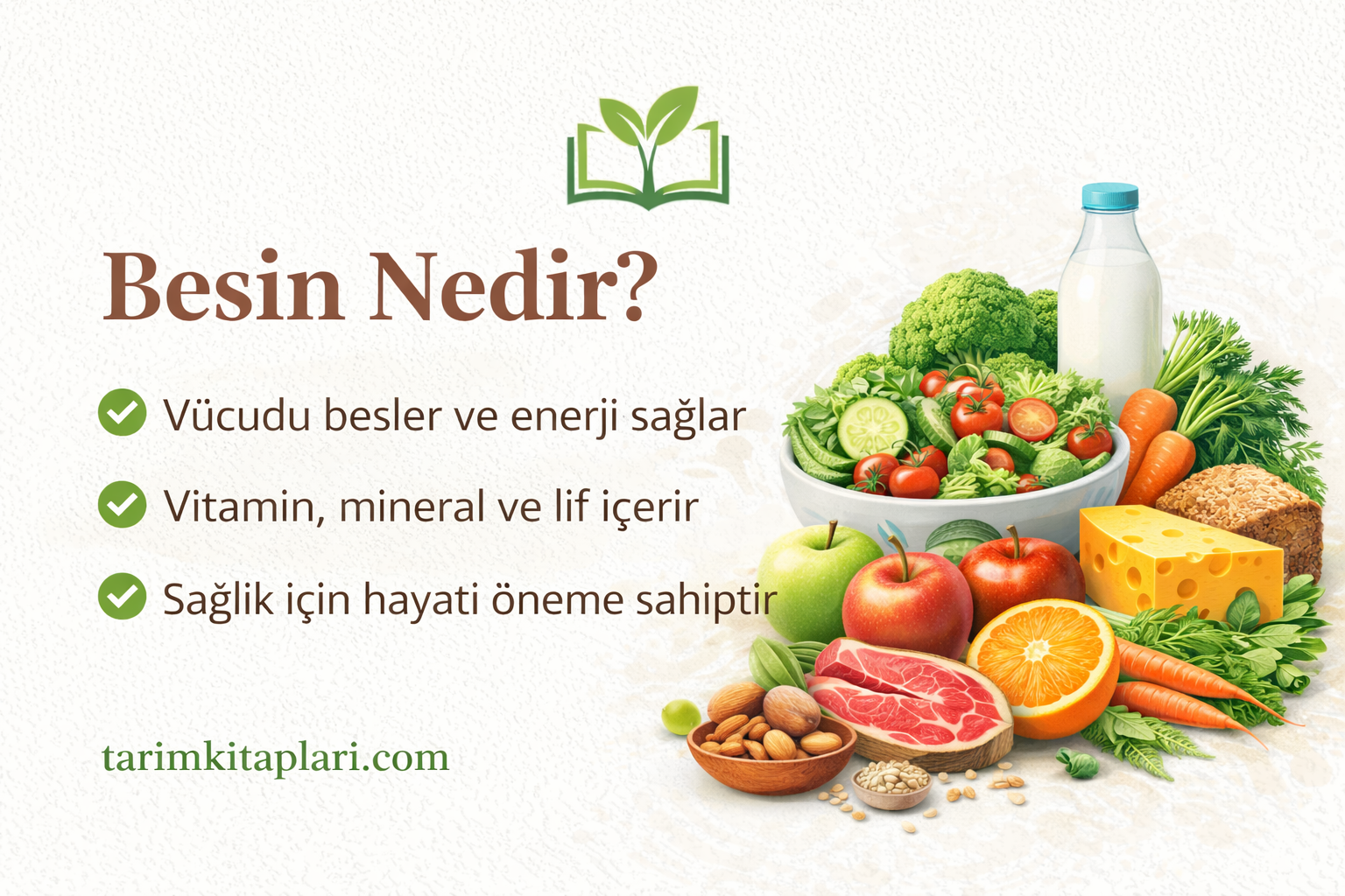 Besinlerin vücuda sağladığı enerji ve besin öğelerini anlatan, sebze, meyve ve hayvansal gıdaları içeren sağlıklı beslenme görseli.